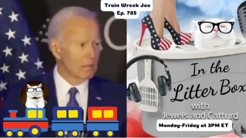 Train Wreck Joe | In the Litter Box w/ Jewels & Catturd – Ep. 785 – 4/16/2025