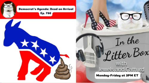 Democrat's Agenda: Dead On Arrival | In the Litter Box w/ Jewels & Catturd – Ep. 786 – 4/22/2025