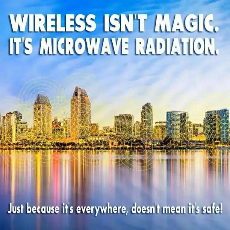 View Julsp333's post on GETTR. Join the discussion, share your thoughts, and connect with the community.