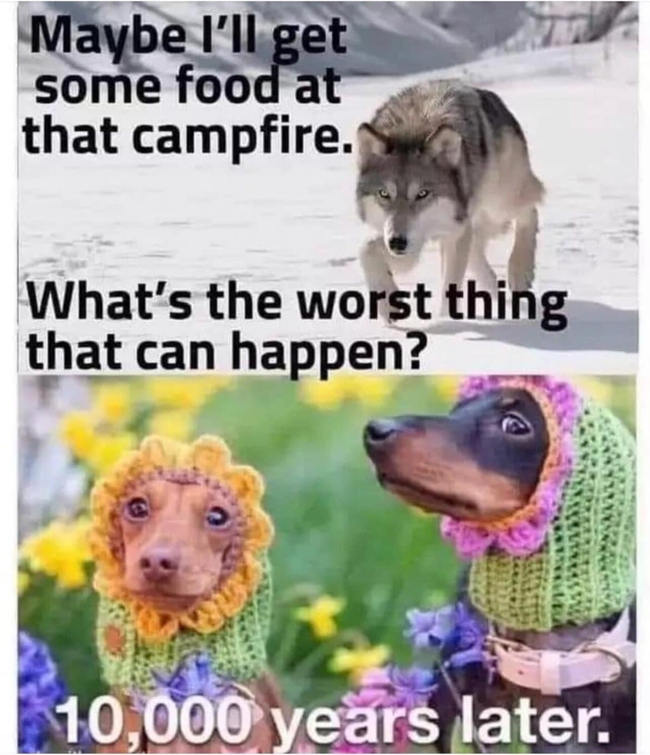 View jjpec's post on GETTR. Join the discussion, share your thoughts, and connect with the community.