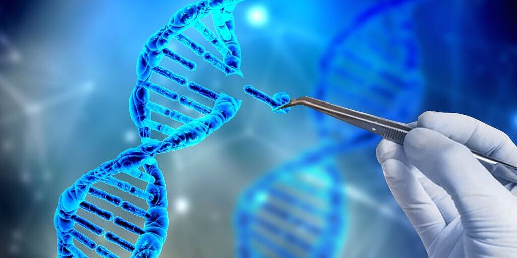 Key Technologies Driving the Genome Editing Market

The genome editing market is
powered by several ...