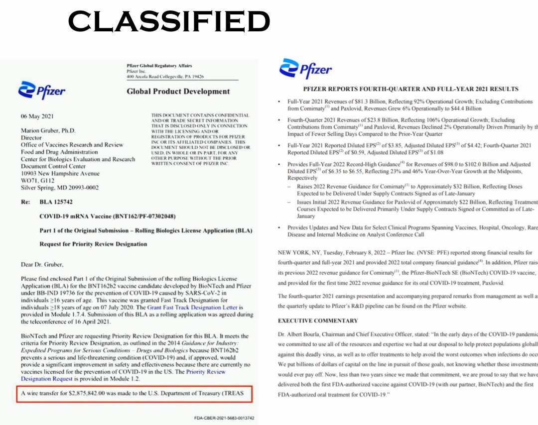 🚨🚨🚨 Breaking: 
Grow a hanging tree;
CLASSIFIED  DOCS.
-
Phizer  paid  a  2.9 million  dollar  bri...