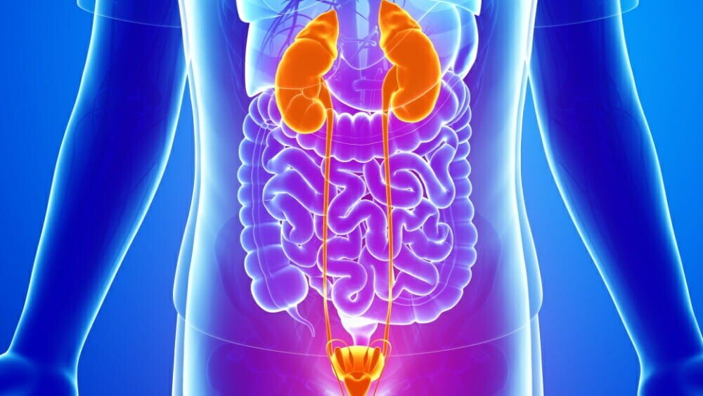 Antibiotic Resistance Challenges in UTI
Treatment


Antibiotic resistance represents one of the most...