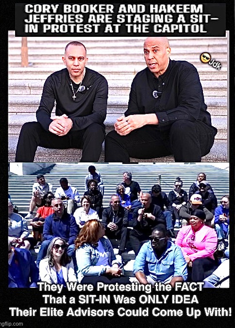 Democrats Have Nothing
Seems Singing Awful Songs By Awful Singers Wasn’t Enough for Democrats!
They’ve Ruined the Viability of a SIT-IN by Protesting Rea