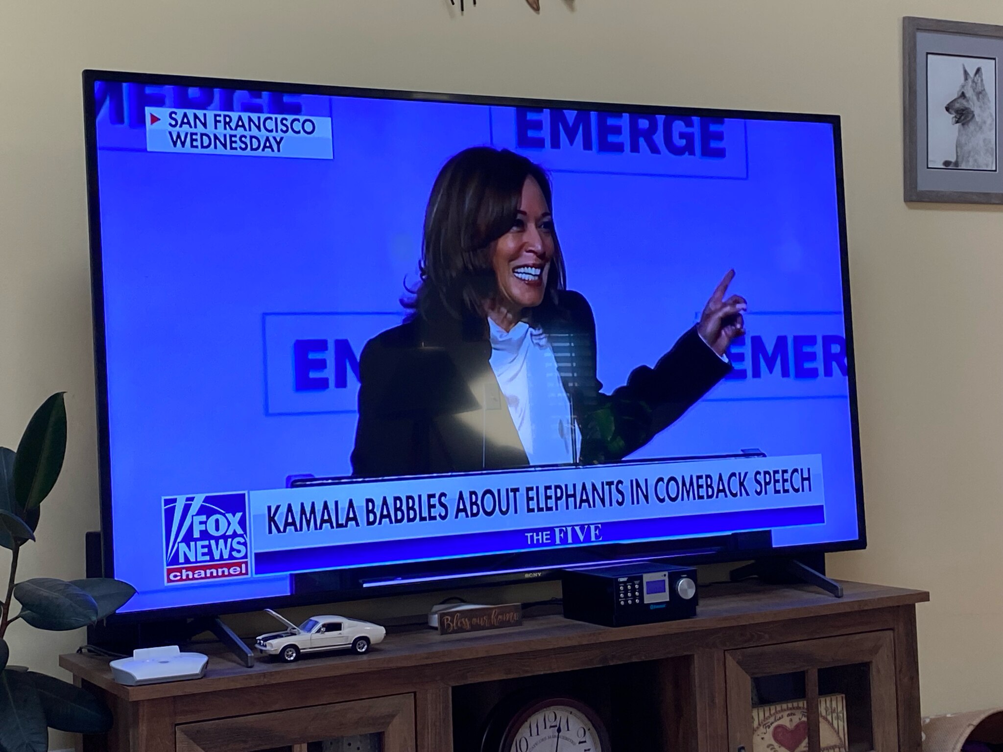 OMG the Clown Show is back ‼️ 

