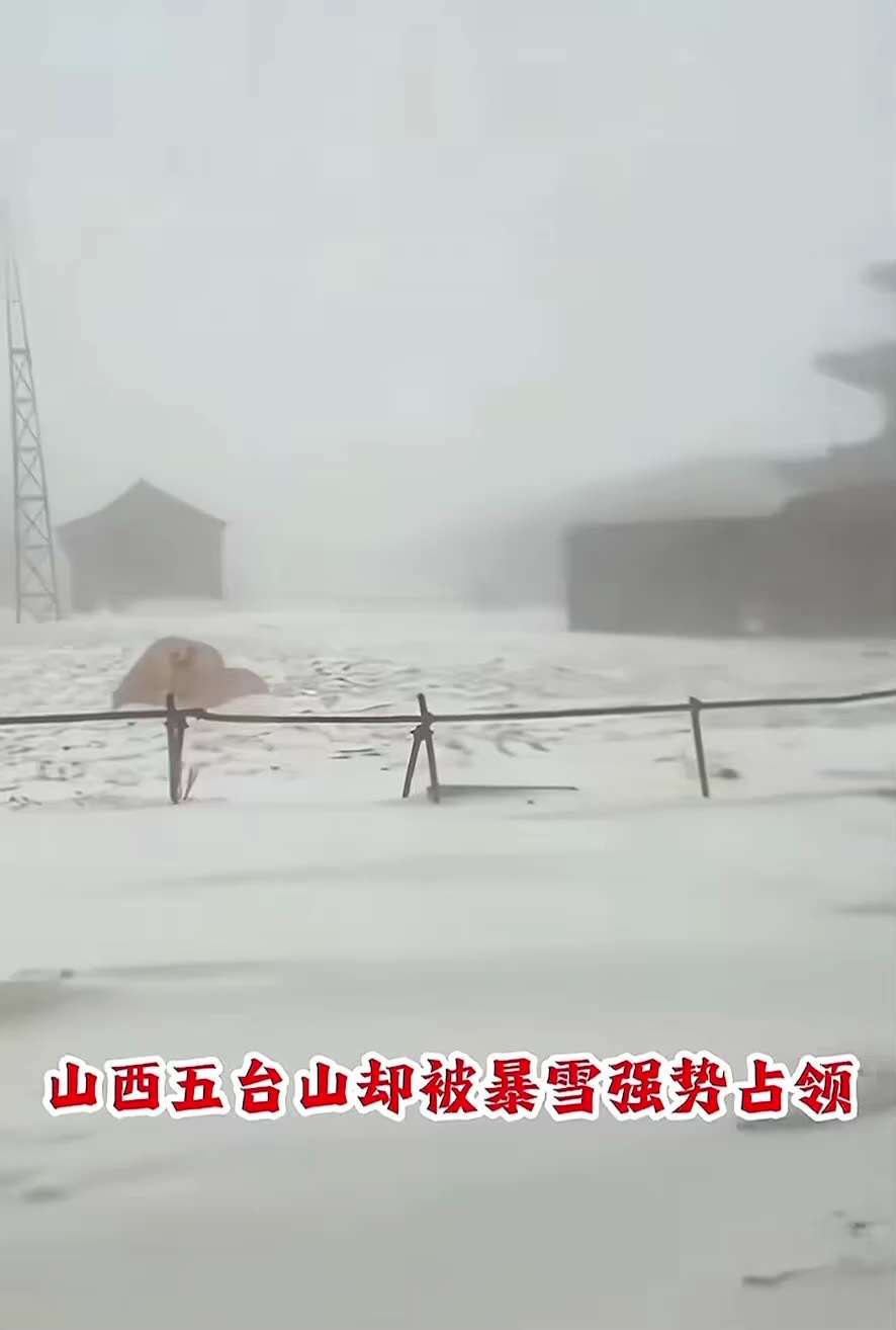 中共国这个 #五一 很不太平，除了乱象与灾难频发还有 #天降异象：
五月五日的山西 #五台山 突降 #狂风🌪️#暴雪❄️，一片白茫‼️
这是多大的冤屈呀，佛祖都看不下去了！
