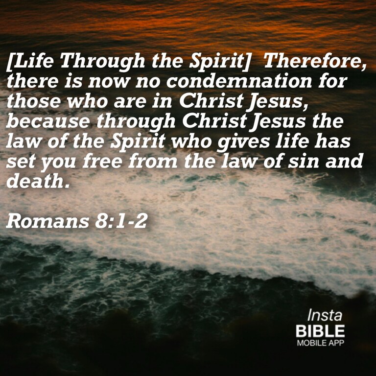 Life through the spirit…
Download APP: https://itunes.apple.com/us/app/insta-bible/id763908534?mt=8 … #Life #Spirit #no #condemnation #Christ #Jesus #law #