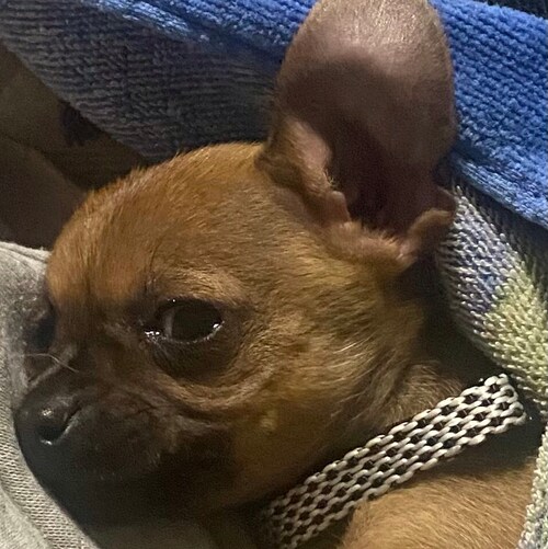 Trump saved me  when he was president last time hydroxychloroquine and no 💉🩸💉🩸