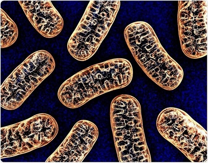X-linked Hypophosphatemia Market Expected to Grow via FGF23 Inhibitors

 The X-linked Hypophosphatem...