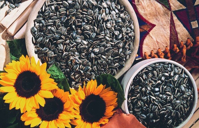 United States Sunflower Seeds Market Booms with Precision Farming

 The United States Sunflower Seed...