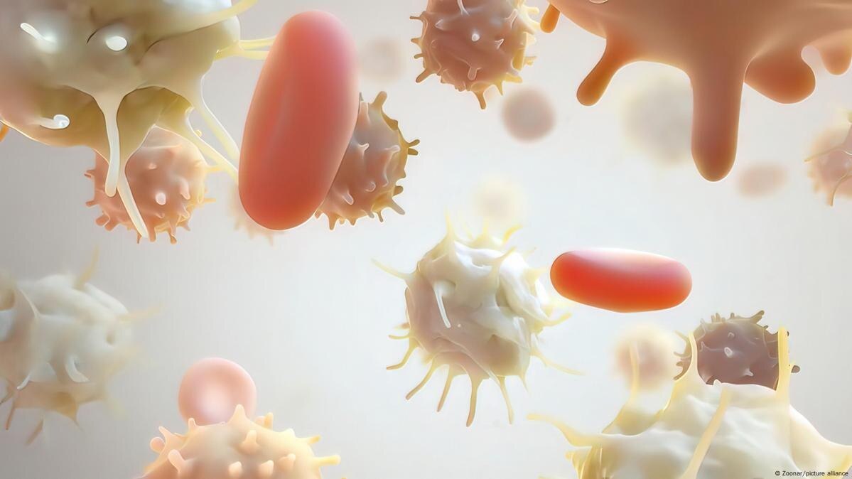 Lambert Eaton Myasthenic Syndrome Market to Soar with
Monoclonal Antibody Therapies
The Global Lambe...