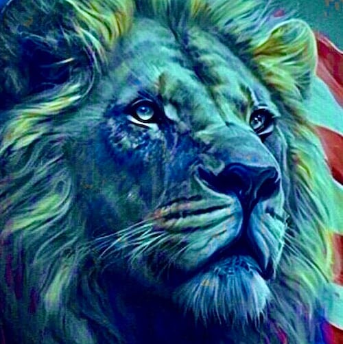 Constitution
America First
I voted for Trump