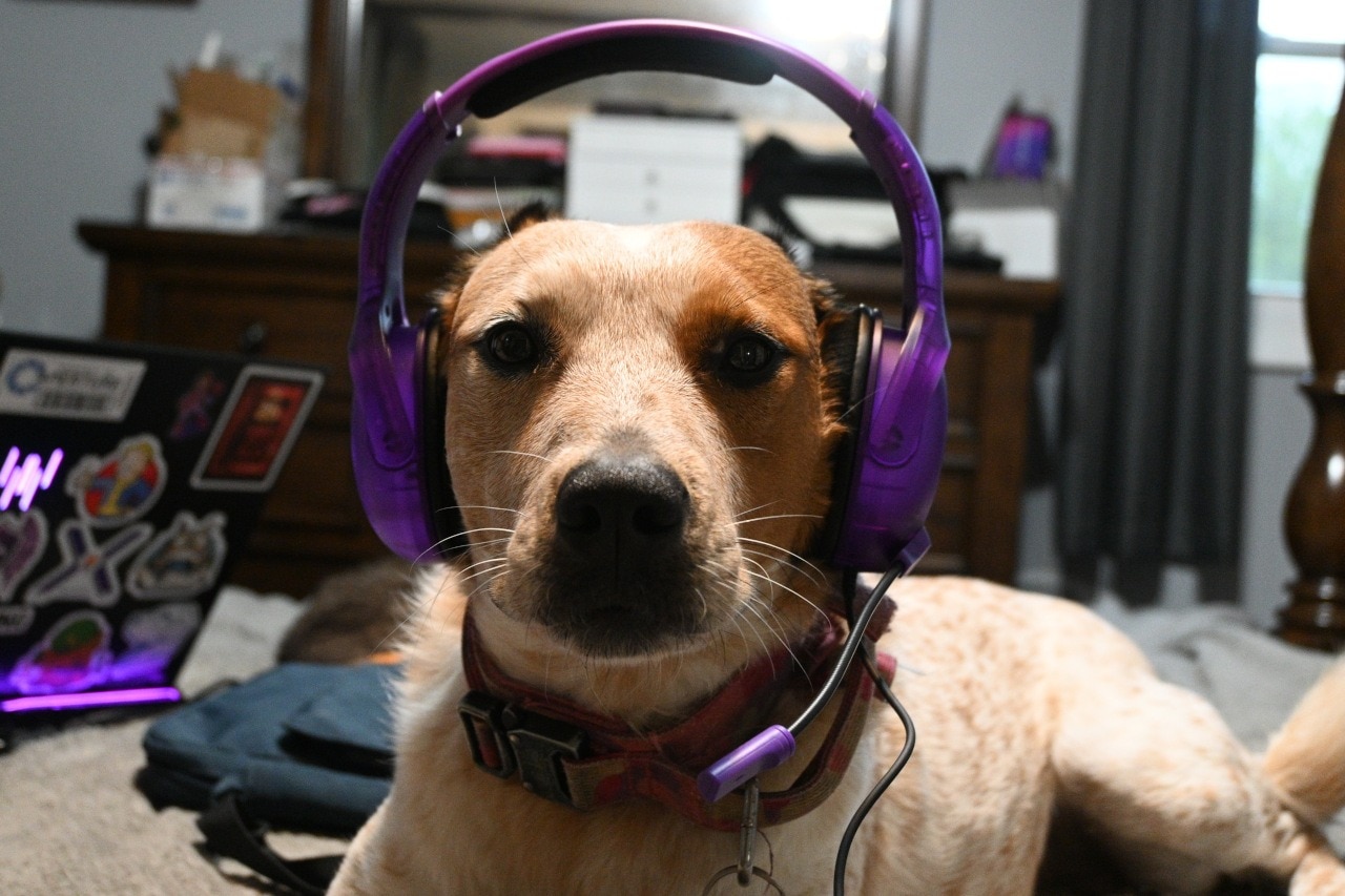 Posted my #review of the Turtle Beach Airlite™ Fit Wired Gaming Headset - https://www.christcentered...