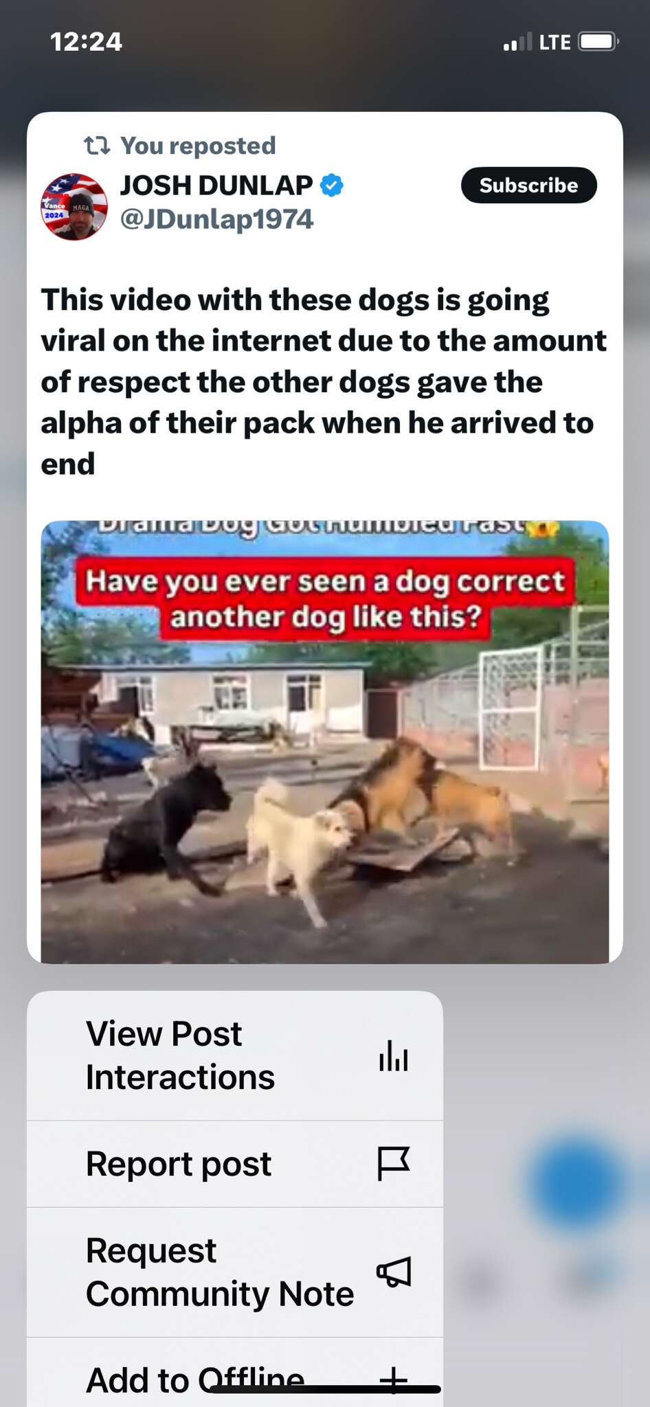 This video with these dogs is going viral on the internet due to the amount of respect the other dog...