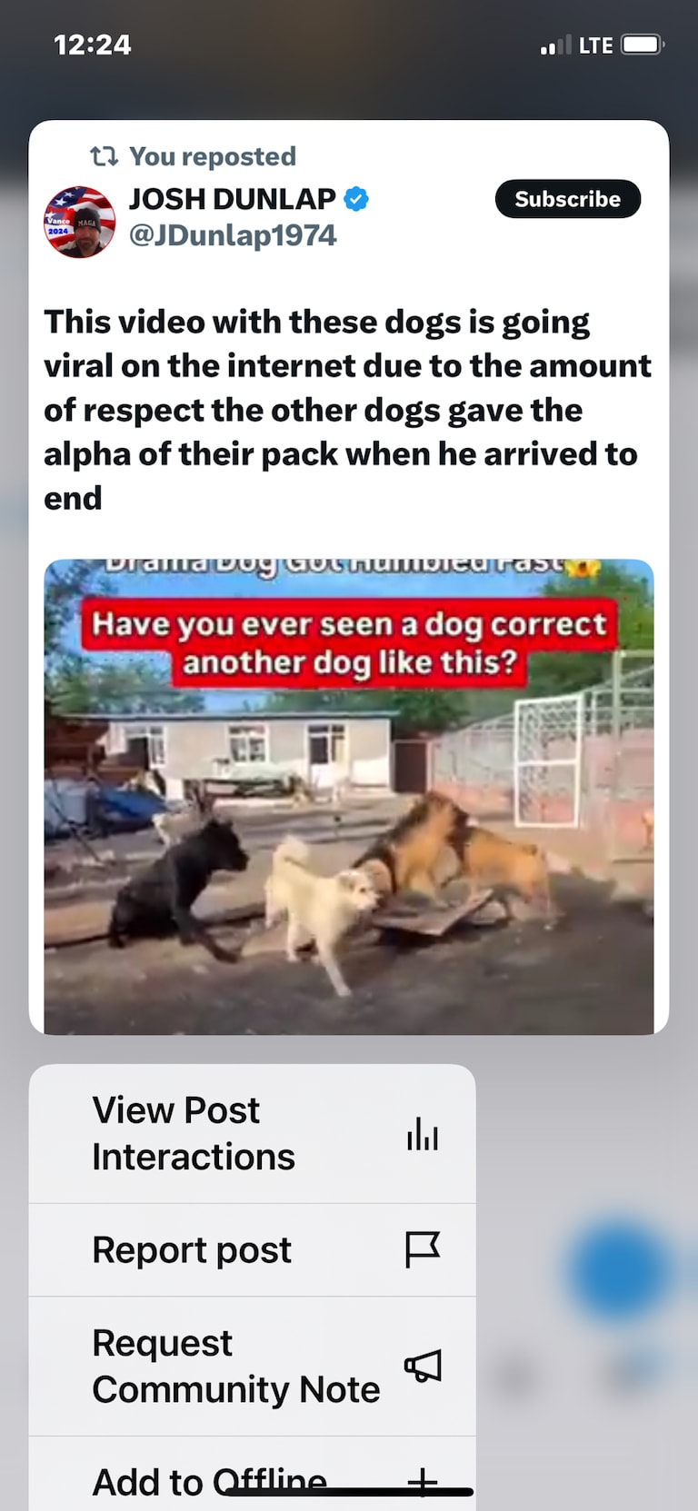 This video with these dogs is going viral on the internet due to the amount of respect the other dogs gave the alpha of their pack when he arrived to end