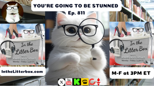 YOU'RE GOING TO BE STUNNED | In the Litter Box w/ Jewels & Catturd – Ep. 811 – 5/30/2025