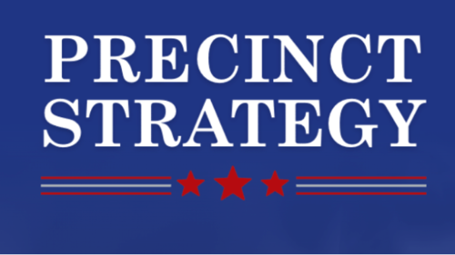 The Precinct Strategy