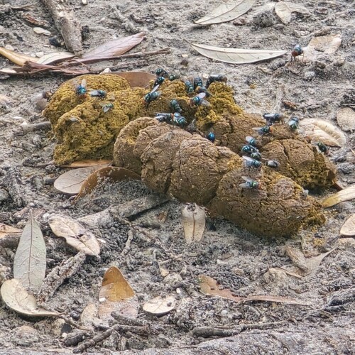 Visit clarion99's profile on GETTR. View their posts, photos, videos, and connect with them on the social platform.