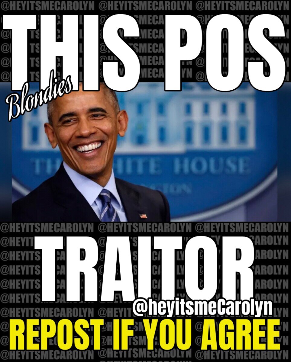 Barack Hussein Obama- this TRAITOR 