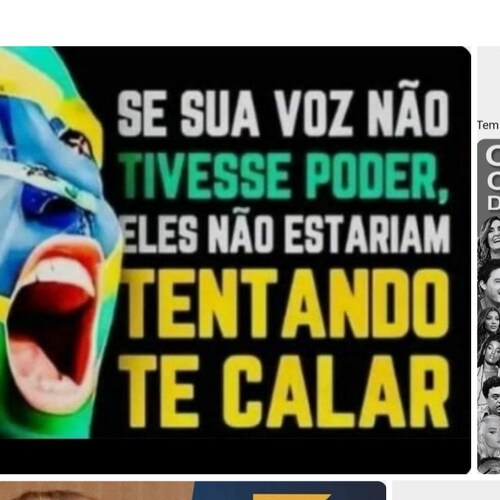 Patriota, cristão, Bolsonarista raiz, armamentista, 🇧🇷