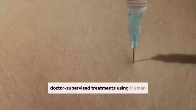 Ensure Lean Muscle Development and Toughness with HGH

Muscle loss is an all-natural part of aging, ...