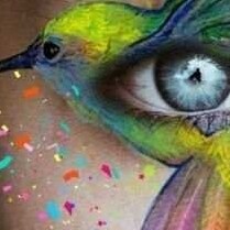 Visit lei691suelilei 🇧🇷🇧🇷🇧🇷🇧🇷🇧🇷's profile on GETTR. View their posts, photos, videos, and connect with them on the social platform.