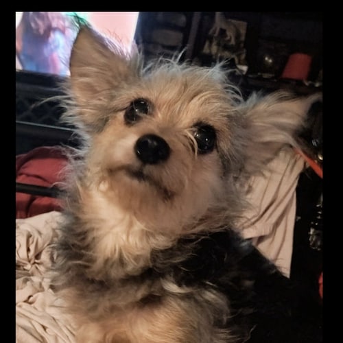 ...life has been a journey but thankful to have made it this far. Habitual criminal of Twitter /FB  jailed, harrassed, b...