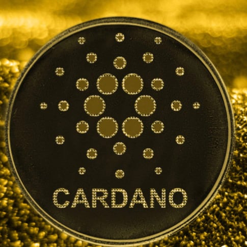 Visit Adawallet's profile on GETTR. View their posts, photos, videos, and connect with them on the social platform.