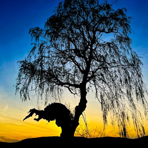 Visit lanceIR's profile on GETTR. View their posts, photos, videos, and connect with them on the social platform.