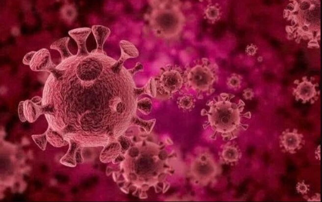 Virus HPV (Human Papillomavirus) là nhóm virus gây u nhú ở người, có hơn 150 chủng khác nhau. Trong ...