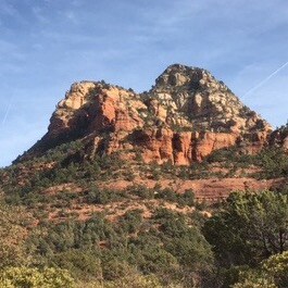 Steve make sure every red state, redistricts like the Democrats have been doing the past 20 years, s...