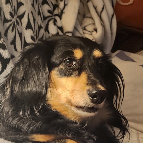 US Army Veteran, God and Country. Married, Liberty and Freedom matters.  No Crypto