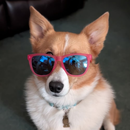 God, Family, Country, and old Mopars, 1st & 2nd Amendment and conservative values 🇺🇸🇨🇦🇩🇪🇬🇧