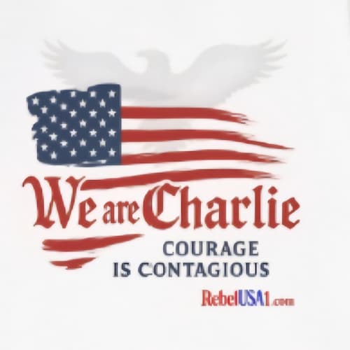 America 1st, Constitutionalist, Proud Deplorable, Ultra MAGA member.  I call them as I see them-ALWAYS. No: 🚫 DM's