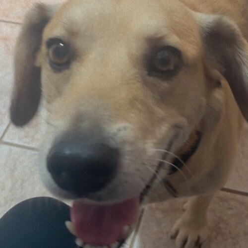 Andréa Carvalho, nascida em 29.08.1963, conservadora, otimista, Patriota com orgulho 🇧🇷