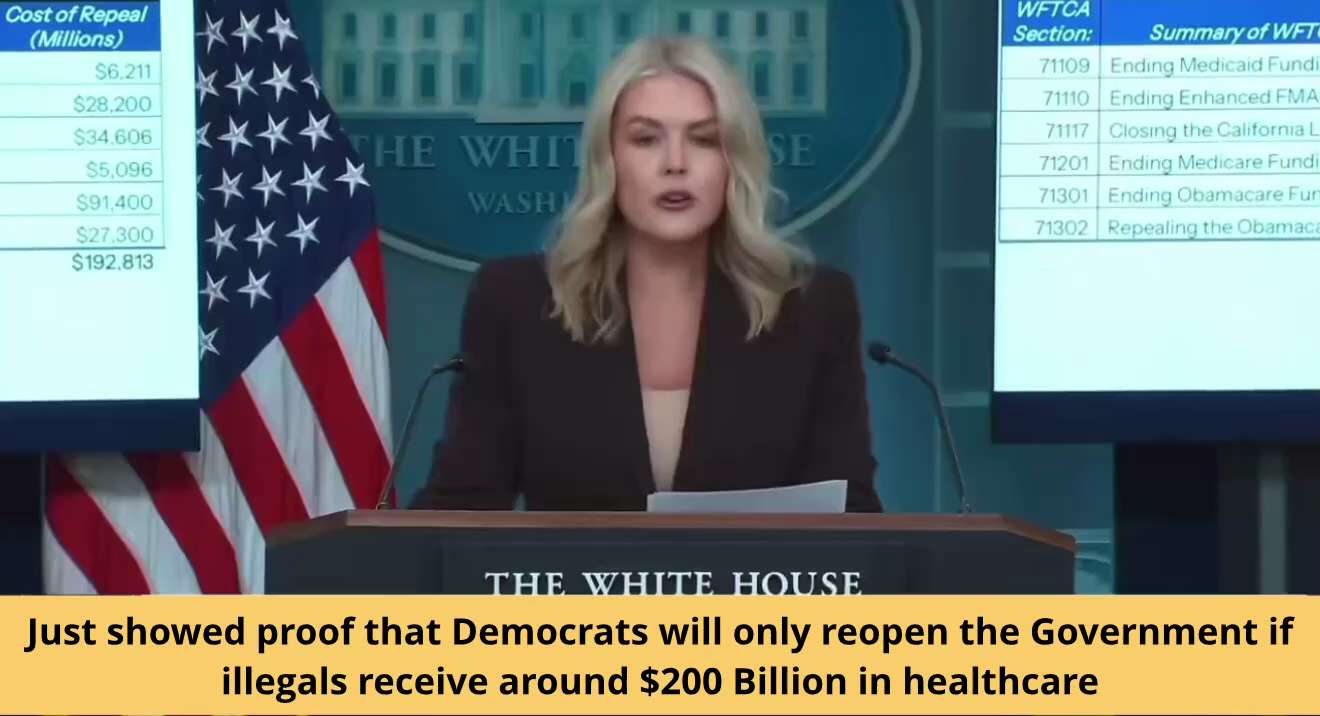 BREAKING 🚨 Karoline Leavitt just showed proof that Democrats will only reopen the Government if ill...