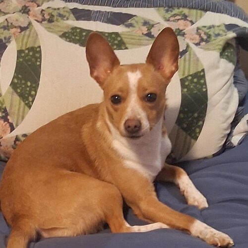 Southern born and bred