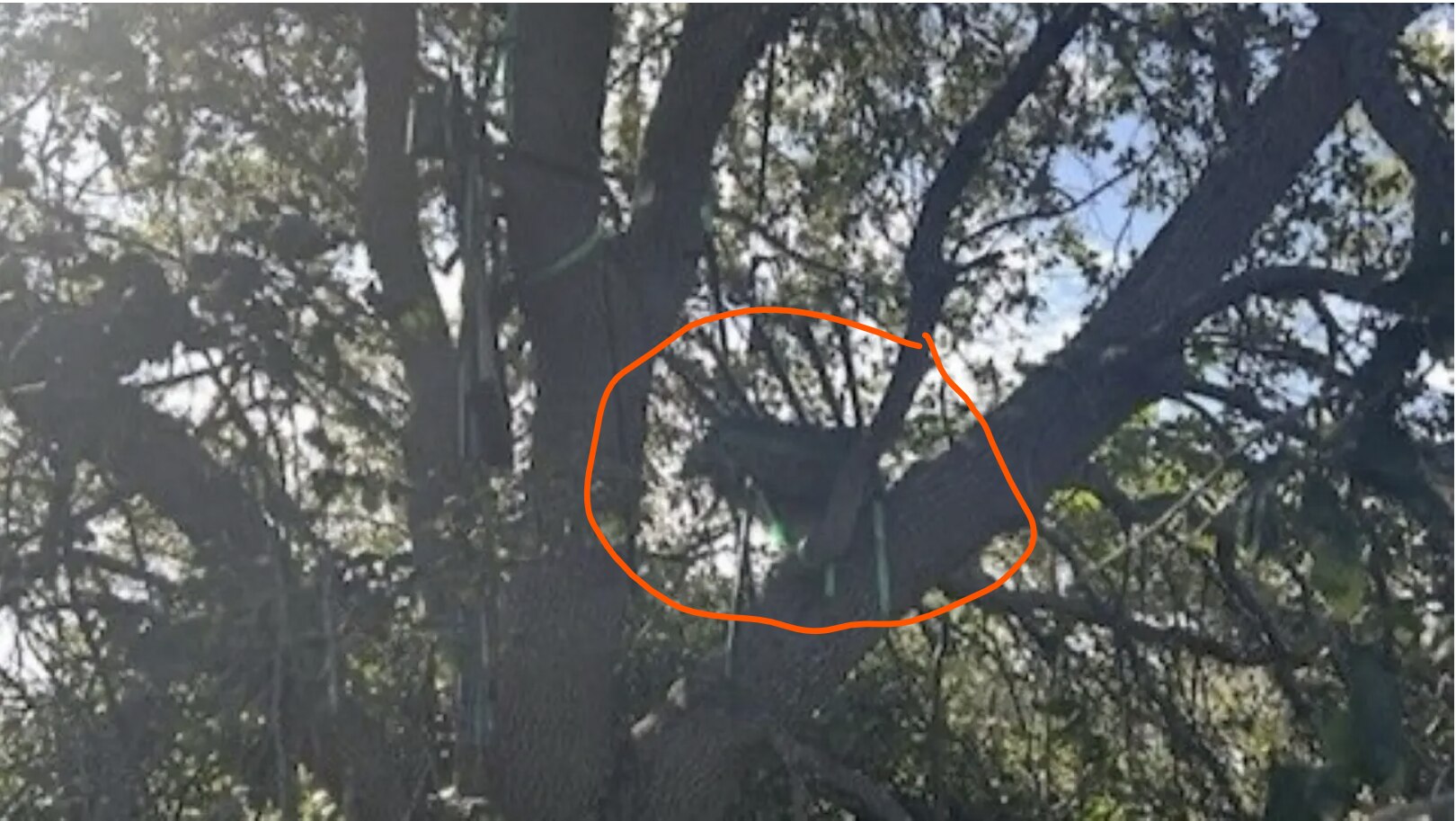 【美国之声--一个高空猎架架设在能清楚看到空军一号着陆的地方】2025年10月19日FBI局长帕特尔（Kash Patel）告知《福克斯新闻》：

在川普总统返回棕榈滩之前，特勤局在一个能清楚看到空军...