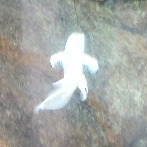 THE WORD of THE FATHER is The Promise of The Gospel of THE NEW TESTAMENT from JESUS CHRIST in HIS Blood for those who ha...