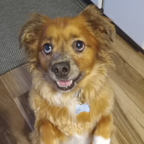 Christian, Pro Life, Pro Freedom, Pro Guns, Pro Trump, Pro God... Unvaxxed Trump Won !!! The time is NOW to Accept Jesus...