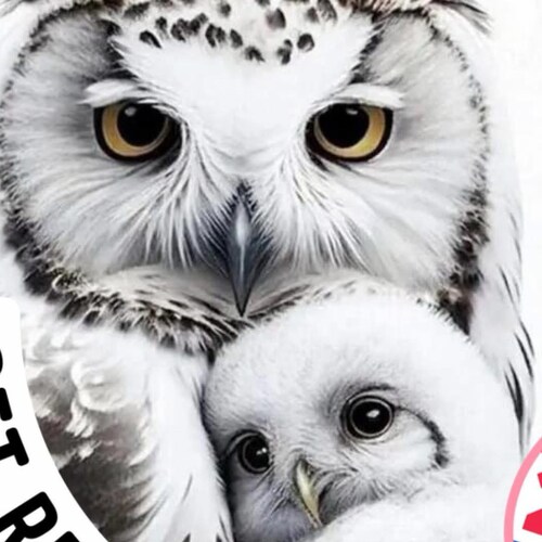 Native American conservative from The Colville reservation with my fam