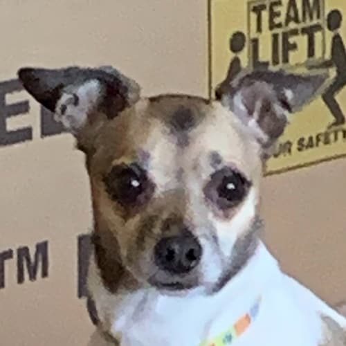 Keep America Great!
ENOUGH OF ALL THIS DEMOCRACY TALK! WE ARE A CONSTITUTIONAL REPUBLIC ! Citizen journalist! RAV/GETTR ...