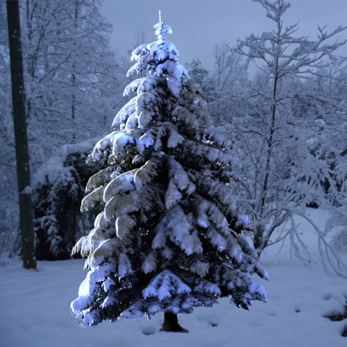 Things the Constitution does not guarantee:

Financial security
Free housing
Free health care
Free E...