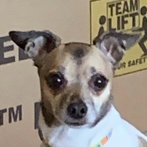 Keep America Great!
ENOUGH OF ALL THIS DEMOCRACY TALK! WE ARE A CONSTITUTIONAL REPUBLIC ! Citizen journalist! RAV/GETTR ...