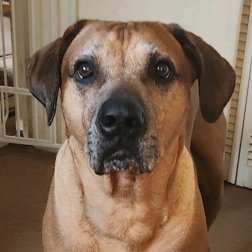 Retired Security Professional

'MY FAMILY HAD TO PULL A "DAVEY CROCKETT" BACK IN 2018 FROM MY HOMETOWN 'SANCTUARY STATE'...