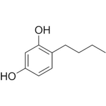 Resorcinol Pricing Trends and Forecast Report: Historical Data, Regional Price Indices, Market Drive...