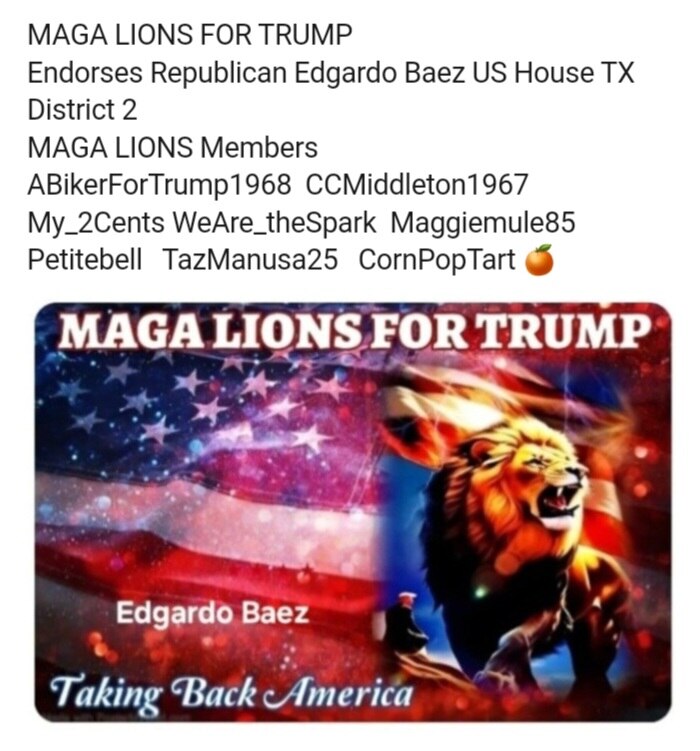 MAGA REPS LIST 2026 MIDTERMS PG. 41B
NEW YEARS DAY EDITION
PRIMARY : 03/03/26

* TEXAS *  (continued...