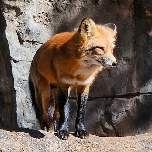 Blessed American 
#Maga #Trump2024  Please Save California from demorats* God, Happy Wife happy life
Lover of this earth...