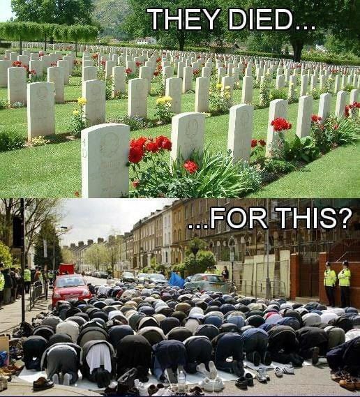 Don't let them fool you