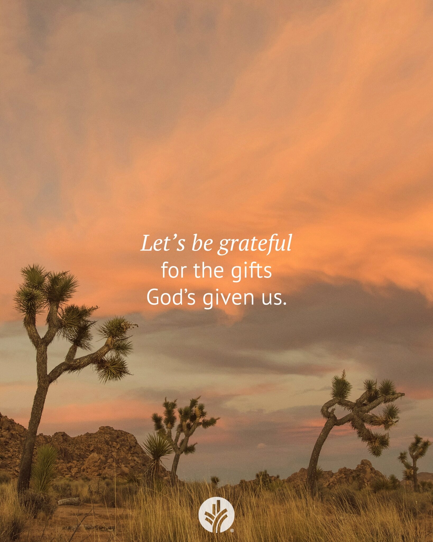 Gratitude is a great attitude to have. 

